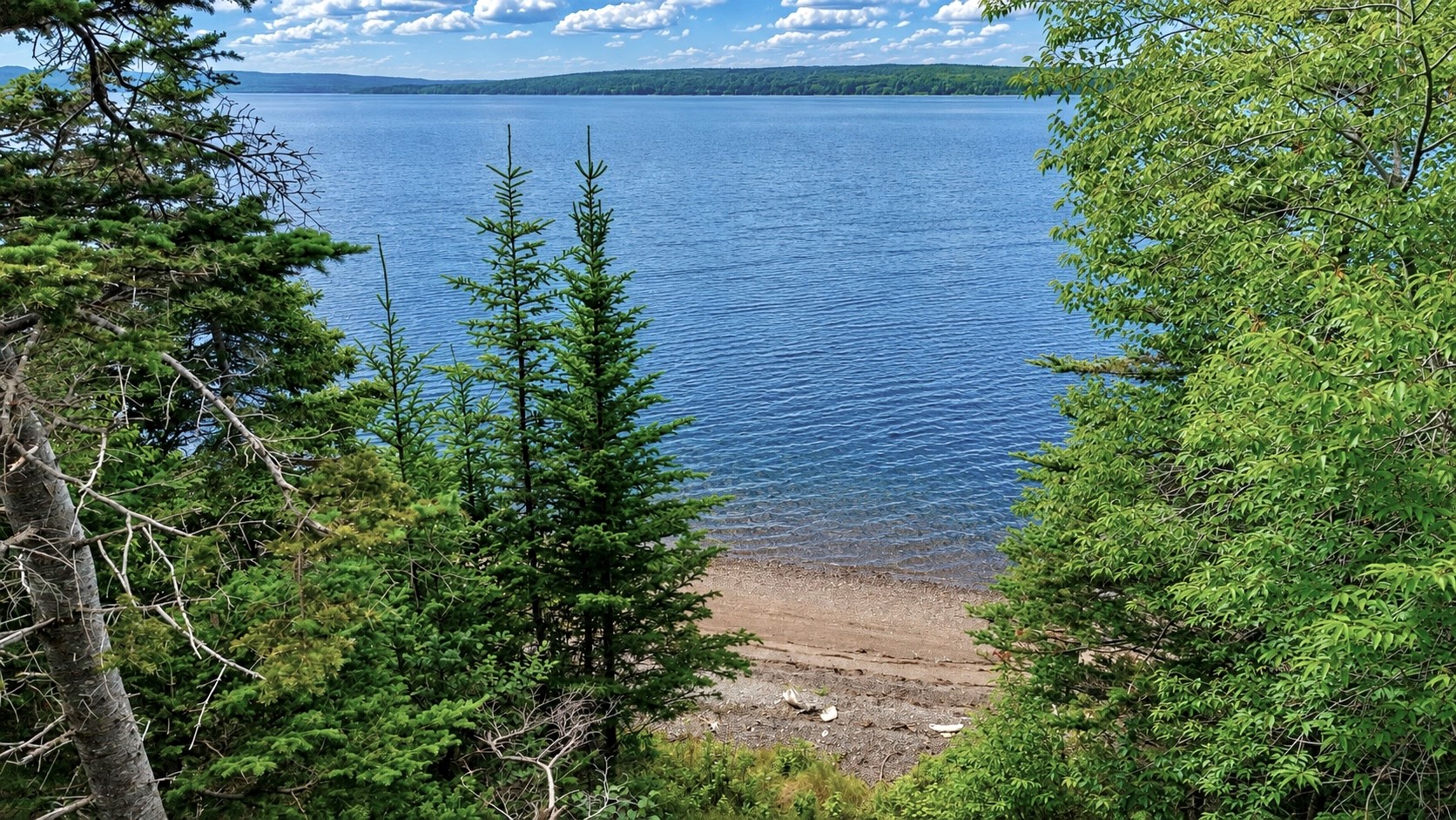 0 BUNYAN'S COVE ROAD, PORT BLANDFORD, Newfoundland, Canada A0C 2G0, ,0,Land,For Sale,BUNYAN'S COVE ROAD,6483