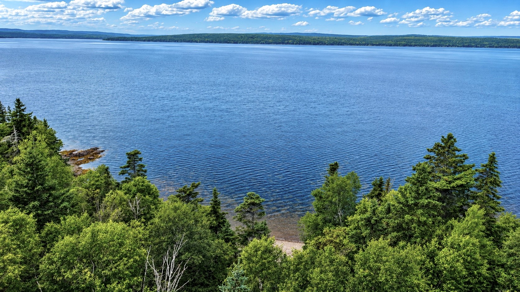 0 BUNYAN'S COVE ROAD, PORT BLANDFORD, Newfoundland, Canada A0C 2G0, ,0,Land,For Sale,BUNYAN'S COVE ROAD,6483