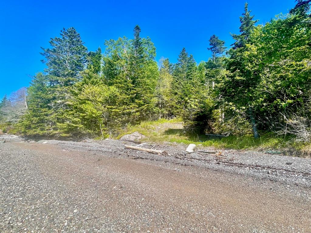 0 BUNYAN'S COVE ROAD, PORT BLANDFORD, Newfoundland, Canada A0C 2G0, ,0,Land,For Sale,BUNYAN'S COVE ROAD,6483