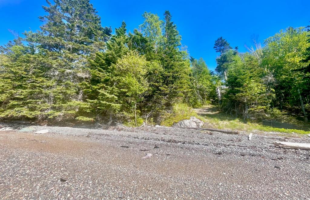 0 BUNYAN'S COVE ROAD, PORT BLANDFORD, Newfoundland, Canada A0C 2G0, ,0,Land,For Sale,BUNYAN'S COVE ROAD,6483