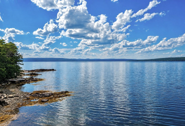 0 BUNYAN'S COVE ROAD, PORT BLANDFORD, Newfoundland, Canada A0C 2G0, ,0,Land,For Sale,BUNYAN'S COVE ROAD,6483
