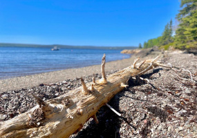 0 BUNYAN'S COVE ROAD, PORT BLANDFORD, Newfoundland, Canada A0C 2G0, ,0,Land,For Sale,BUNYAN'S COVE ROAD,6483
