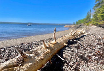 0 BUNYAN'S COVE ROAD, PORT BLANDFORD, Newfoundland, Canada A0C 2G0, ,0,Land,For Sale,BUNYAN'S COVE ROAD,6483 0 BUNYAN'S COVE ROAD, PORT BLANDFORD, Newfoundland, Canada A0C 2G0, ,0,Land,For Sale,BUNYAN'S COVE ROAD,6483
