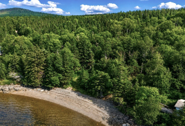 0 BUNYAN'S COVE ROAD, PORT BLANDFORD, Newfoundland, Canada A0C 2G0, ,0,Land,For Sale,BUNYAN'S COVE ROAD,6483