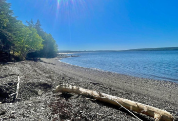 0 BUNYAN'S COVE ROAD, PORT BLANDFORD, Newfoundland, Canada A0C 2G0, ,0,Land,For Sale,BUNYAN'S COVE ROAD,6483 0 BUNYAN'S COVE ROAD, PORT BLANDFORD, Newfoundland, Canada A0C 2G0, ,0,Land,For Sale,BUNYAN'S COVE ROAD,6483