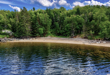 0 BUNYAN'S COVE ROAD, PORT BLANDFORD, Newfoundland, Canada A0C 2G0, ,0,Land,For Sale,BUNYAN'S COVE ROAD,6483