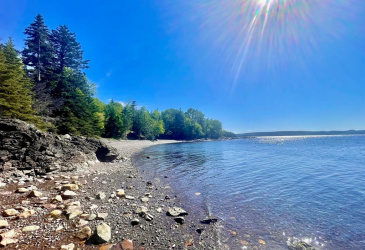 0 BUNYAN'S COVE ROAD, PORT BLANDFORD, Newfoundland, Canada A0C 2G0, ,0,Land,For Sale,BUNYAN'S COVE ROAD,6483 0 BUNYAN'S COVE ROAD, PORT BLANDFORD, Newfoundland, Canada A0C 2G0, ,0,Land,For Sale,BUNYAN'S COVE ROAD,6483