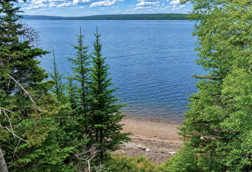 0 BUNYAN'S COVE ROAD, PORT BLANDFORD, Newfoundland, Canada A0C 2G0, ,0,Land,For Sale,BUNYAN'S COVE ROAD,6483