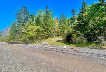 0 BUNYAN'S COVE ROAD, PORT BLANDFORD, Newfoundland, Canada A0C 2G0, ,0,Land,For Sale,BUNYAN'S COVE ROAD,6483 0 BUNYAN'S COVE ROAD, PORT BLANDFORD, Newfoundland, Canada A0C 2G0, ,0,Land,For Sale,BUNYAN'S COVE ROAD,6483