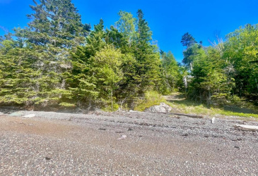 0 BUNYAN'S COVE ROAD, PORT BLANDFORD, Newfoundland, Canada A0C 2G0, ,0,Land,For Sale,BUNYAN'S COVE ROAD,6483 0 BUNYAN'S COVE ROAD, PORT BLANDFORD, Newfoundland, Canada A0C 2G0, ,0,Land,For Sale,BUNYAN'S COVE ROAD,6483