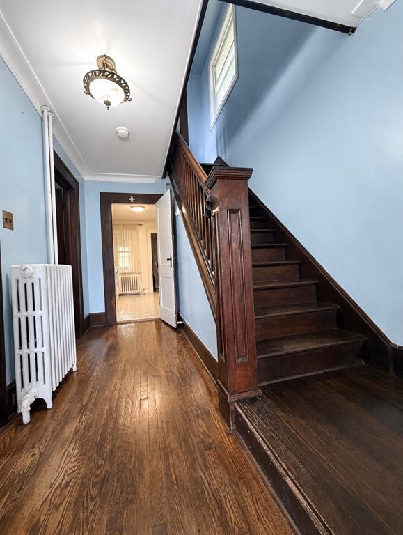 95 BRAZIL STREET, ST. JOHN'S, Newfoundland, Canada A1C 4V5, ,1 BathroomBathrooms,Residential,For Sale,BRAZIL STREET,6488