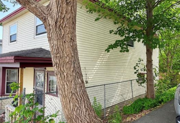 95 BRAZIL STREET, ST. JOHN'S, Newfoundland, Canada A1C 4V5, ,1 BathroomBathrooms,Residential,For Sale,BRAZIL STREET,6488 95 BRAZIL STREET, ST. JOHN'S, Newfoundland, Canada A1C 4V5, ,1 BathroomBathrooms,Residential,For Sale,BRAZIL STREET,6488