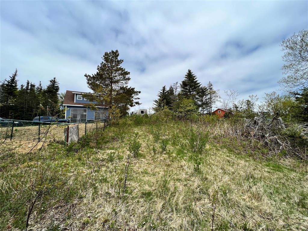 18 WHISKEY HILL, BAY ROBERTS, Newfoundland, Canada A0A 1G0, ,0,Residential,For Sale,WHISKEY HILL,6492