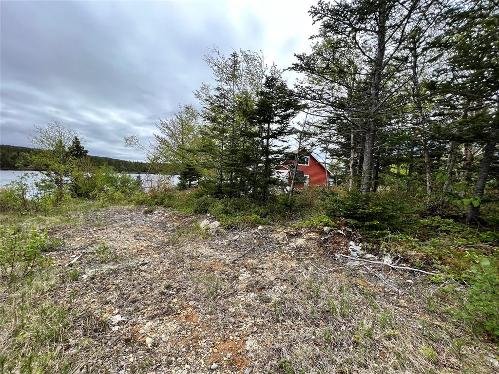 18 WHISKEY HILL, BAY ROBERTS, Newfoundland, Canada A0A 1G0, ,0,Residential,For Sale,WHISKEY HILL,6492