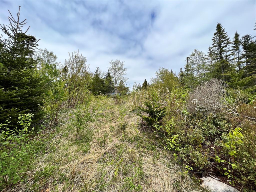 18 WHISKEY HILL, BAY ROBERTS, Newfoundland, Canada A0A 1G0, ,0,Residential,For Sale,WHISKEY HILL,6492