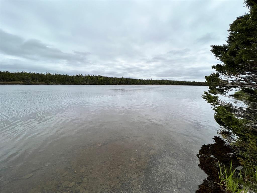 18 WHISKEY HILL, BAY ROBERTS, Newfoundland, Canada A0A 1G0, ,0,Residential,For Sale,WHISKEY HILL,6492