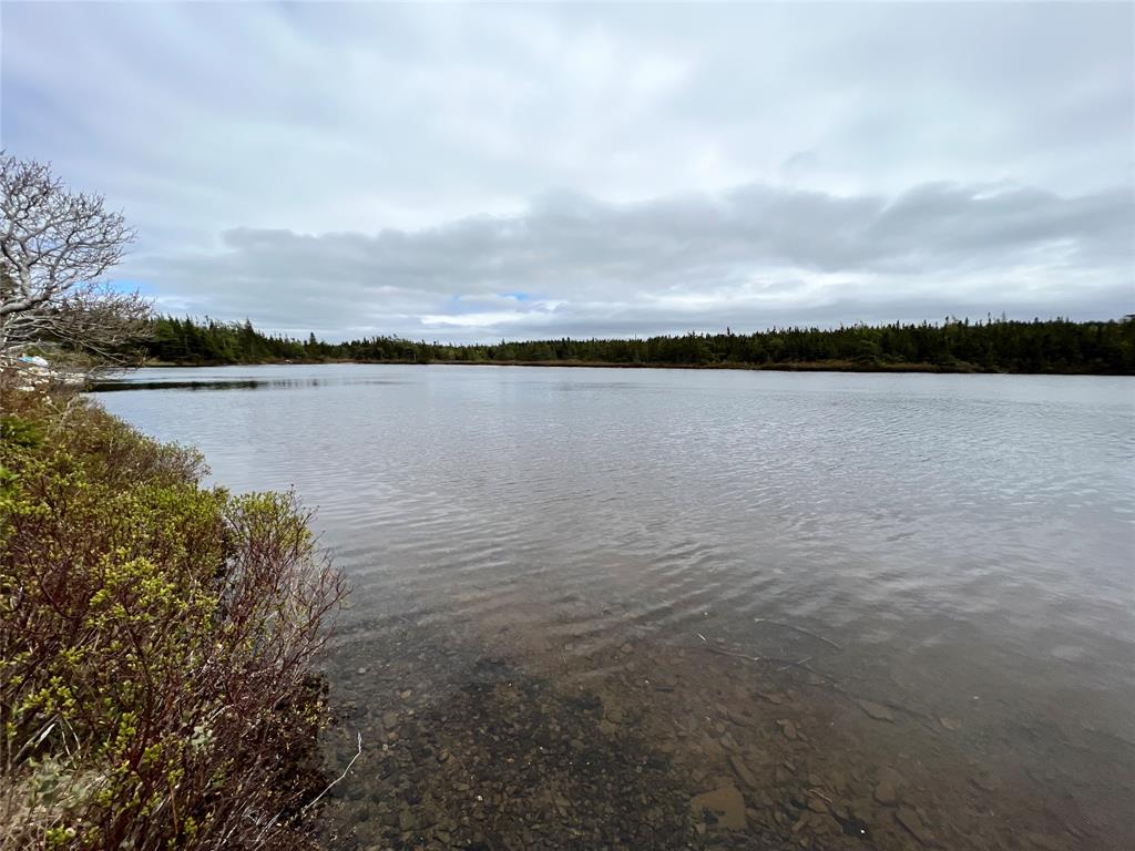 18 WHISKEY HILL, BAY ROBERTS, Newfoundland, Canada A0A 1G0, ,0,Residential,For Sale,WHISKEY HILL,6492