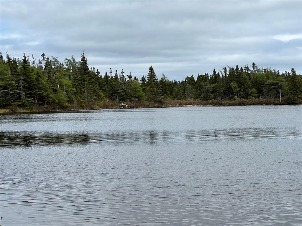 18 WHISKEY HILL, BAY ROBERTS, Newfoundland, Canada A0A 1G0, ,0,Residential,For Sale,WHISKEY HILL,6492