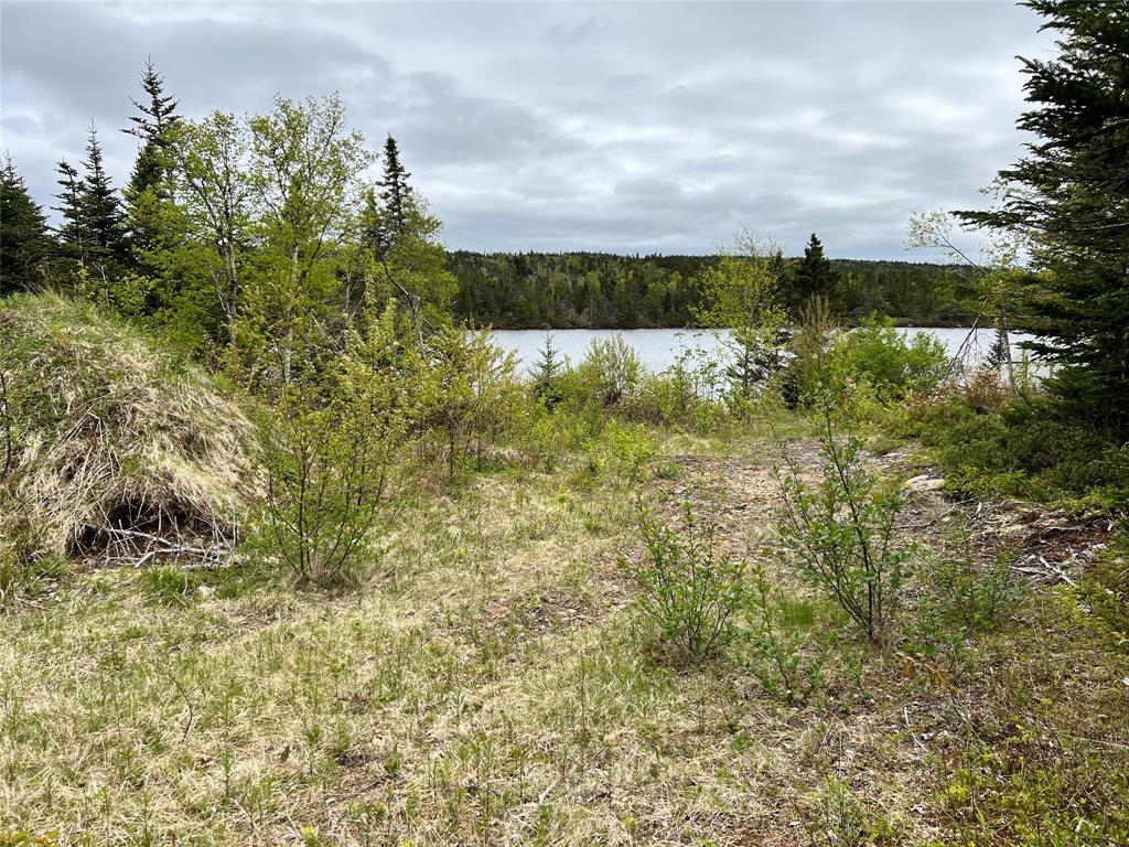 18 WHISKEY HILL, BAY ROBERTS, Newfoundland, Canada A0A 1G0, ,0,Residential,For Sale,WHISKEY HILL,6492