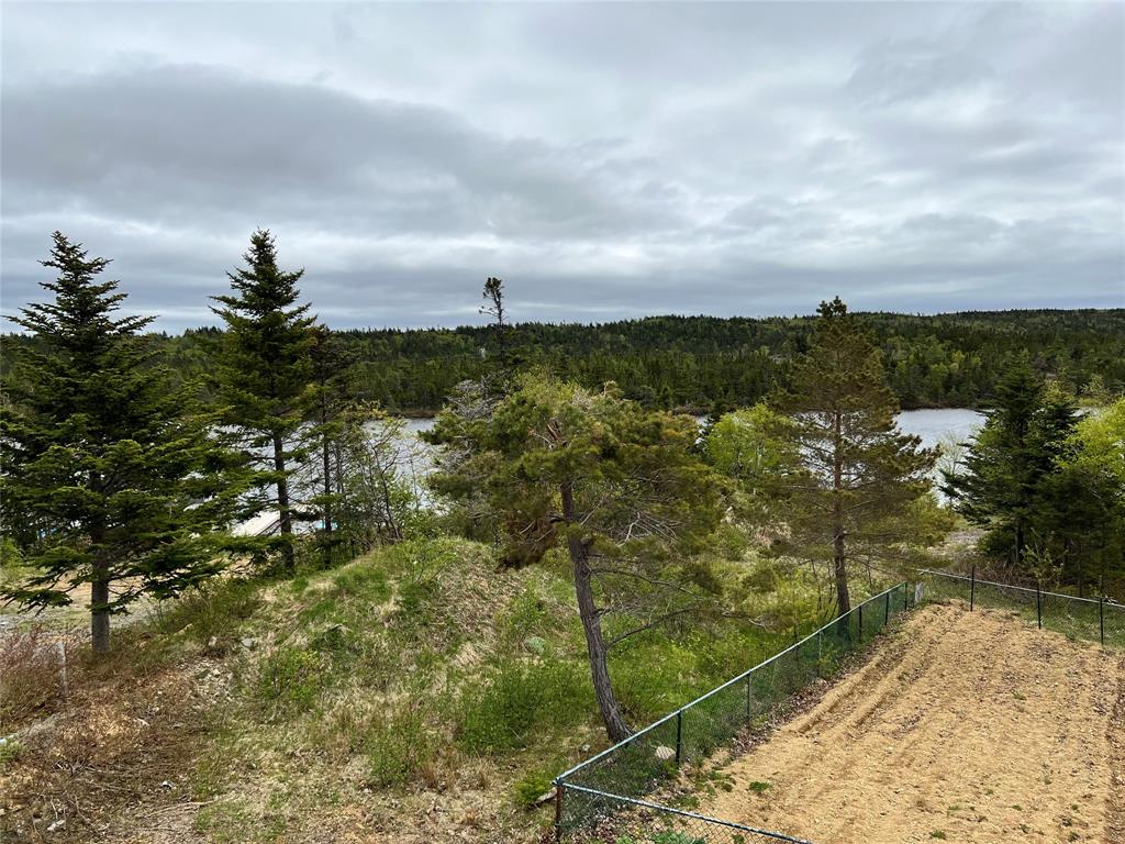 18 WHISKEY HILL, BAY ROBERTS, Newfoundland, Canada A0A 1G0, ,0,Residential,For Sale,WHISKEY HILL,6492