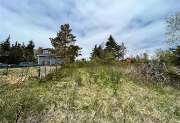 18 WHISKEY HILL, BAY ROBERTS, Newfoundland, Canada A0A 1G0, ,0,Residential,For Sale,WHISKEY HILL,6492