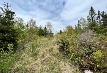 18 WHISKEY HILL, BAY ROBERTS, Newfoundland, Canada A0A 1G0, ,0,Residential,For Sale,WHISKEY HILL,6492
