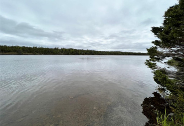 18 WHISKEY HILL, BAY ROBERTS, Newfoundland, Canada A0A 1G0, ,0,Residential,For Sale,WHISKEY HILL,6492