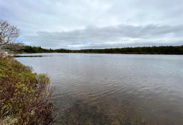 18 WHISKEY HILL, BAY ROBERTS, Newfoundland, Canada A0A 1G0, ,0,Residential,For Sale,WHISKEY HILL,6492