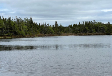 18 WHISKEY HILL, BAY ROBERTS, Newfoundland, Canada A0A 1G0, ,0,Residential,For Sale,WHISKEY HILL,6492
