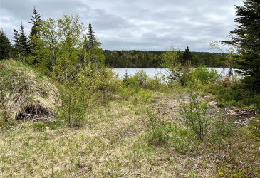 18 WHISKEY HILL, BAY ROBERTS, Newfoundland, Canada A0A 1G0, ,0,Residential,For Sale,WHISKEY HILL,6492