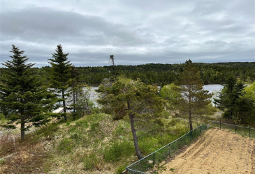 18 WHISKEY HILL, BAY ROBERTS, Newfoundland, Canada A0A 1G0, ,0,Residential,For Sale,WHISKEY HILL,6492