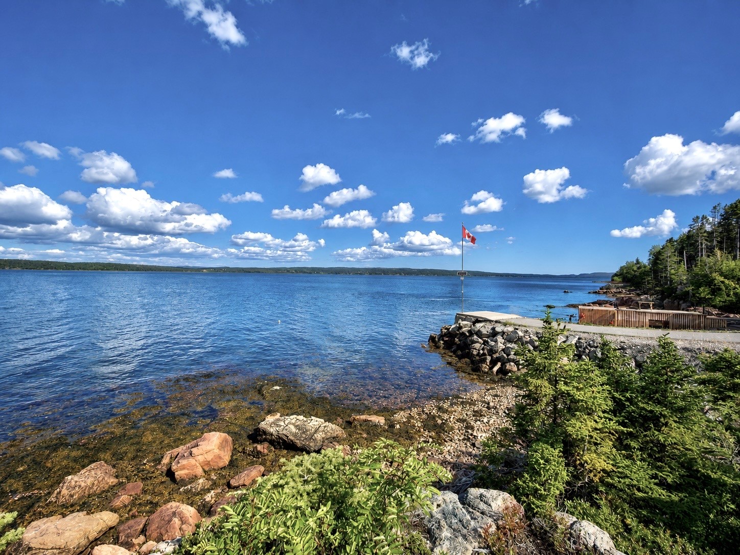 13-15 MUNICIPAL SQUARE, CLARENVILLE, Newfoundland, Canada A5A 1T4, ,2 BathroomsBathrooms,Residential,For Sale,MUNICIPAL SQUARE,6501