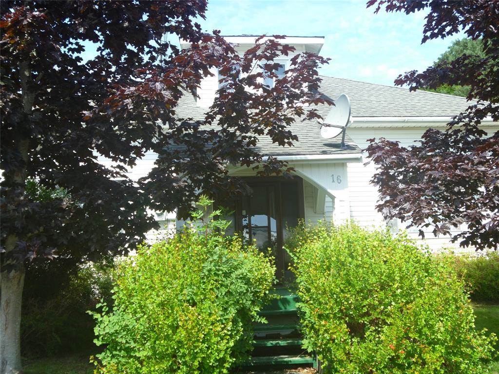 16 PATRICK STREET, CARBONEAR, Newfoundland, Canada A1Y 1B7, ,2 BathroomsBathrooms,Residential,For Sale,PATRICK STREET,6502