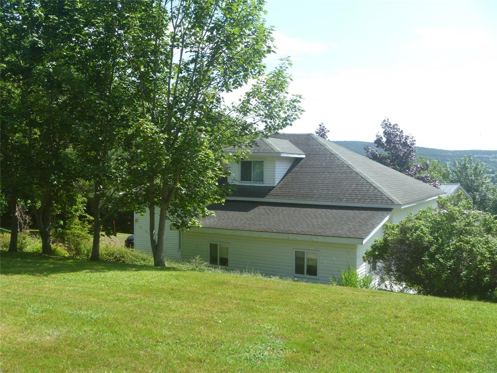 16 PATRICK STREET, CARBONEAR, Newfoundland, Canada A1Y 1B7, ,2 BathroomsBathrooms,Residential,For Sale,PATRICK STREET,6502