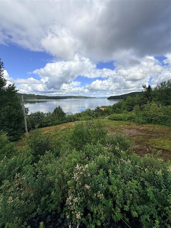 29 HARBOUR DRIVE, NORTH WEST BROOK, Newfoundland, Canada A0E 2P0, ,1 BathroomBathrooms,Residential,For Sale,HARBOUR DRIVE,6506