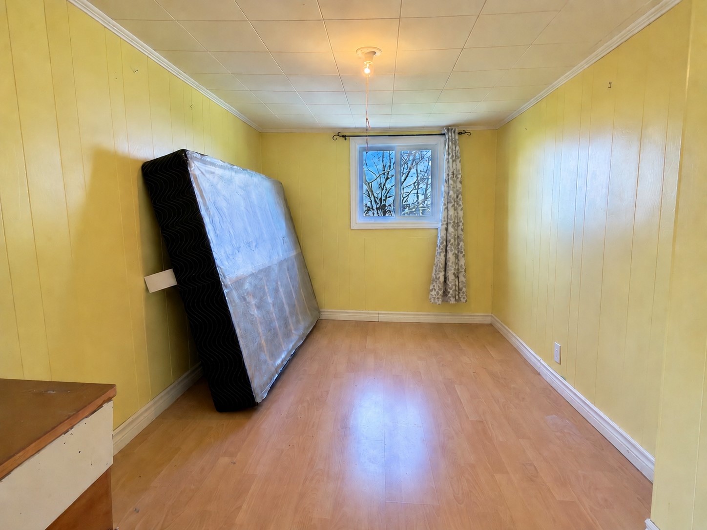 5 WHALEN'S WAY, CAPLIN COVE, Newfoundland, Canada A0E 2A0, ,1 BathroomBathrooms,Residential,For Sale,WHALEN'S WAY,6509