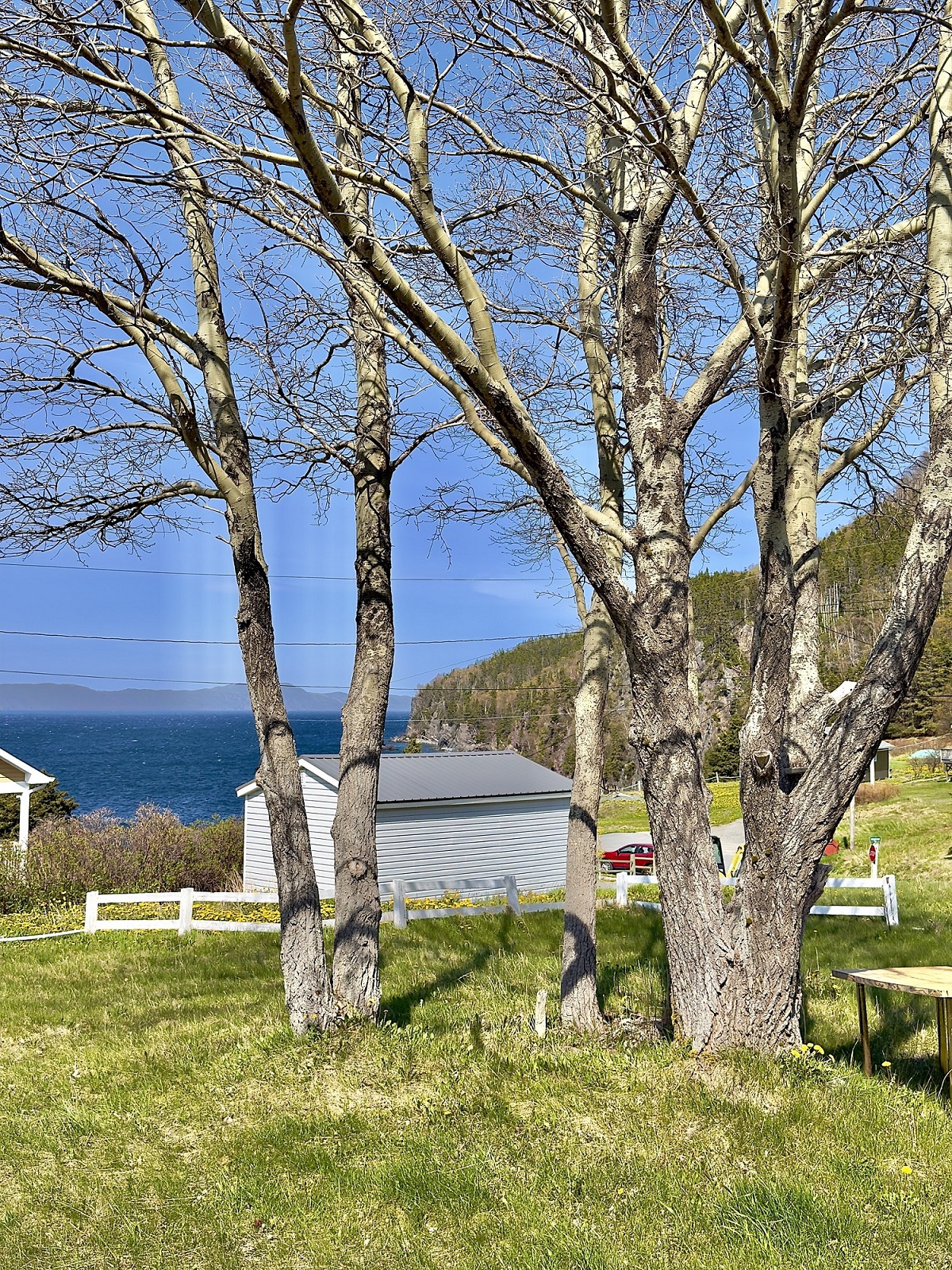 5 WHALEN'S WAY, CAPLIN COVE, Newfoundland, Canada A0E 2A0, ,1 BathroomBathrooms,Residential,For Sale,WHALEN'S WAY,6509