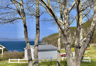 5 WHALEN'S WAY, CAPLIN COVE, Newfoundland, Canada A0E 2A0, ,1 BathroomBathrooms,Residential,For Sale,WHALEN'S WAY,6509