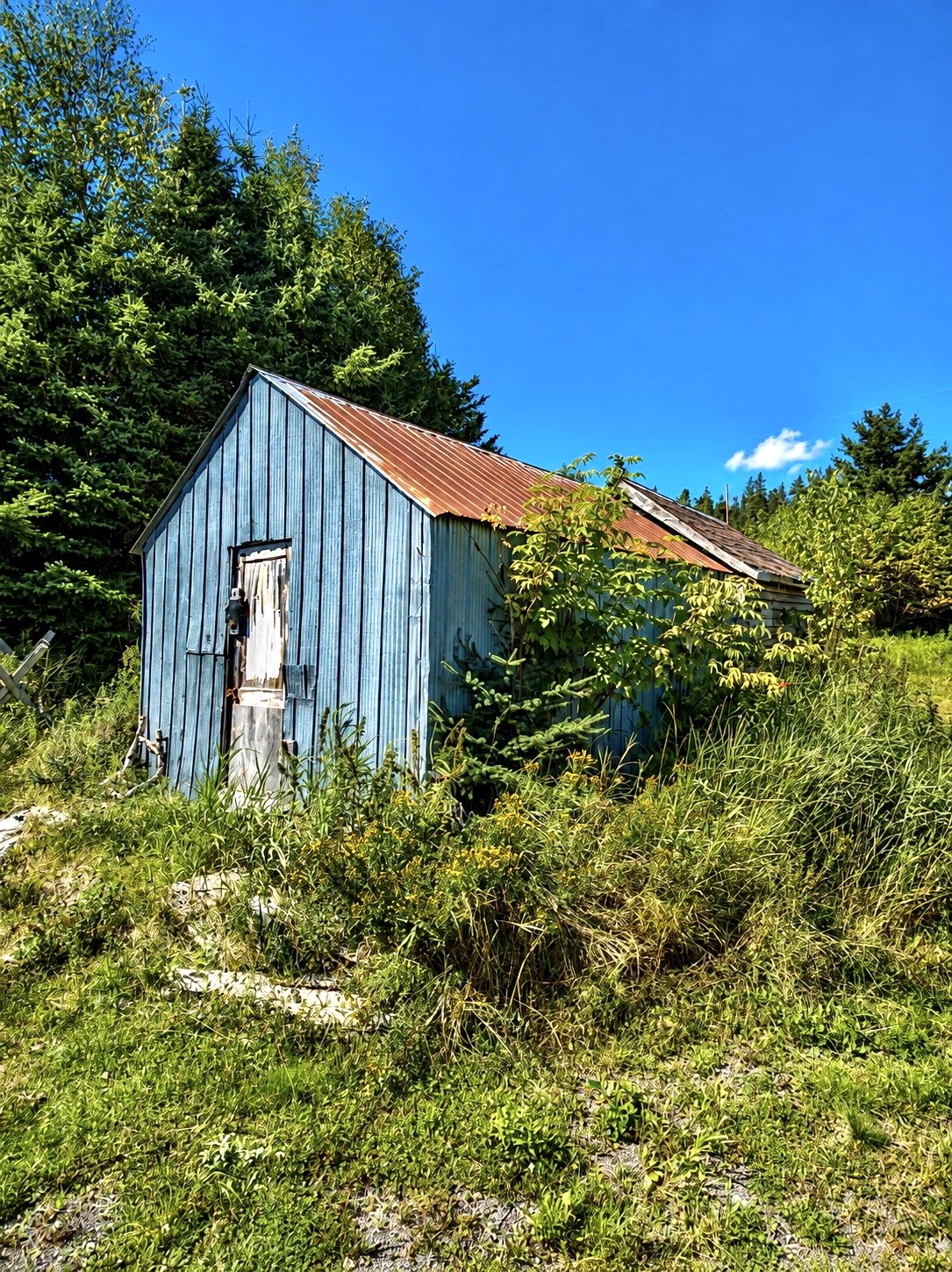 215 GOOSE BAY DRIVE, MUSGRAVETOWN, Newfoundland, Canada A0C 1Z0, ,2 BathroomsBathrooms,Residential,For Sale,GOOSE BAY DRIVE,6510
