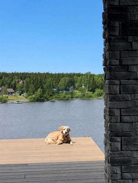 16 THORBURN LAKE ROAD, THORBURN LAKE, Newfoundland, Canada A5A 1E3, ,2 BathroomsBathrooms,Residential,For Sale,THORBURN LAKE ROAD,6516
