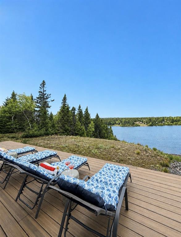 16 THORBURN LAKE ROAD, THORBURN LAKE, Newfoundland, Canada A5A 1E3, ,2 BathroomsBathrooms,Residential,For Sale,THORBURN LAKE ROAD,6516