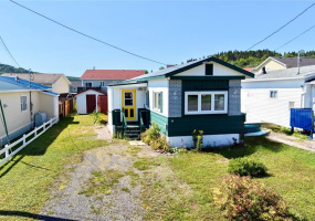 14 FAIRVIEW COURT, CLARENVILLE, Newfoundland, Canada A5A 4G5, ,1 BathroomBathrooms,Residential,For Sale,FAIRVIEW COURT,6517
