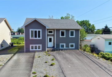60 HIGH BIRCHY CRESCENT, CLARENVILLE, Newfoundland, Canada A5A 1H7, ,3 BathroomsBathrooms,Residential,For Sale,HIGH BIRCHY CRESCENT,6518