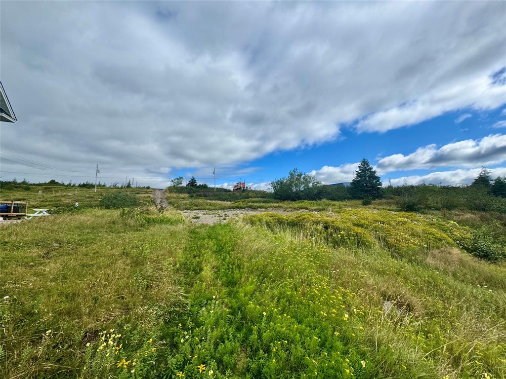 0 GOULDING STREET, SUNNYSIDE, Newfoundland, Canada A0B 3J0, ,0,Residential,For Sale,GOULDING STREET,6523