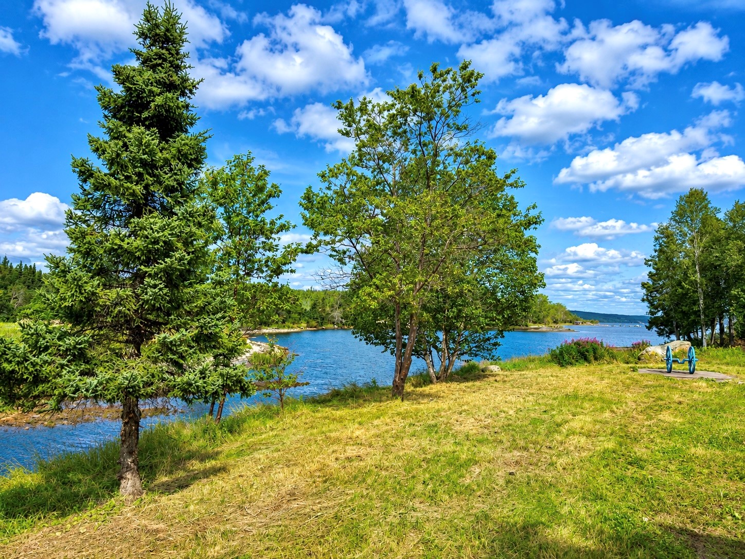 291 SNOOK'S HARBOUR ROAD, SNOOK'S HARBOUR, Newfoundland, Canada A5A 3A1, ,1 BathroomBathrooms,Residential,For Sale,SNOOK'S HARBOUR ROAD,6524