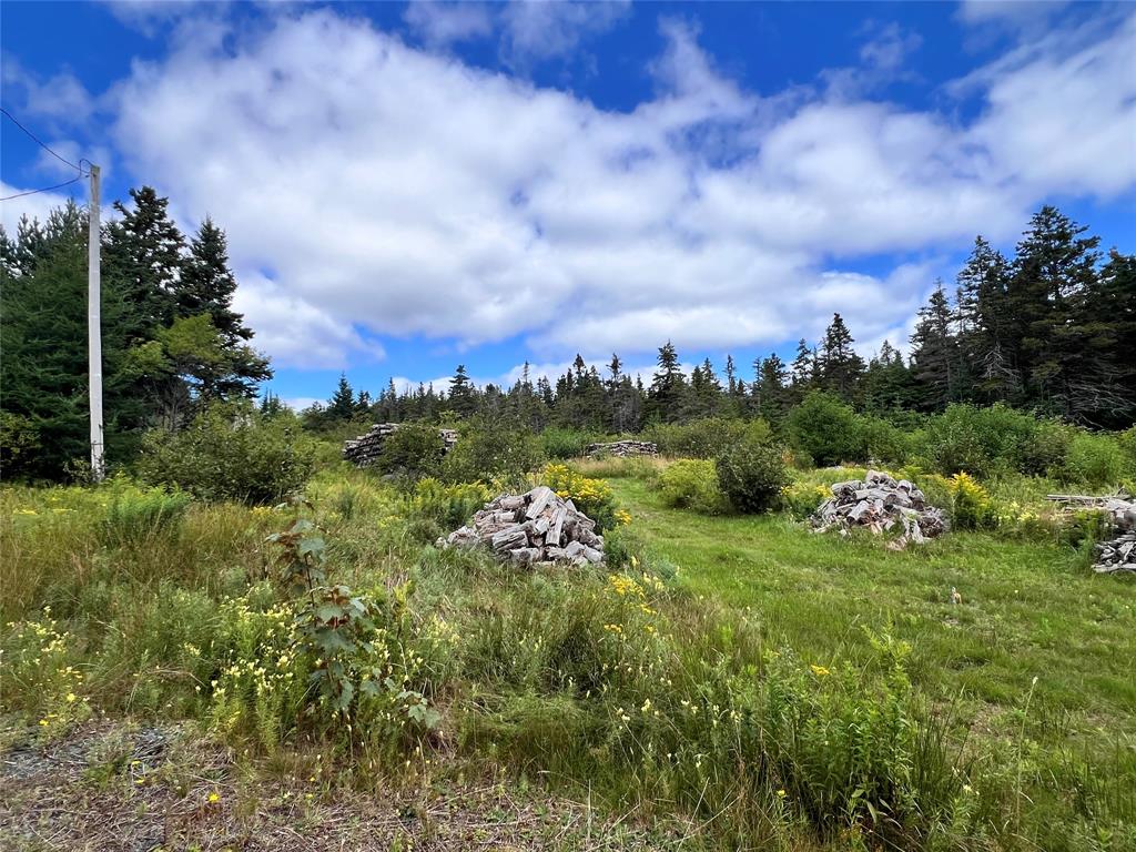 51 OTTERBURY ROAD, CLARKE'S BEACH, Newfoundland, Canada A0A 1W0, ,0,Residential,For Sale,OTTERBURY ROAD,6525