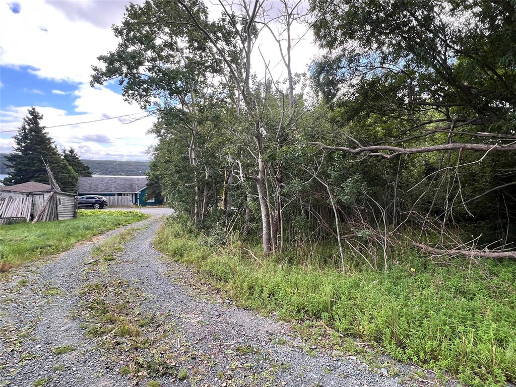 51 OTTERBURY ROAD, CLARKE'S BEACH, Newfoundland, Canada A0A 1W0, ,0,Residential,For Sale,OTTERBURY ROAD,6525