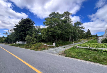 51 OTTERBURY ROAD, CLARKE'S BEACH, Newfoundland, Canada A0A 1W0, ,0,Residential,For Sale,OTTERBURY ROAD,6525