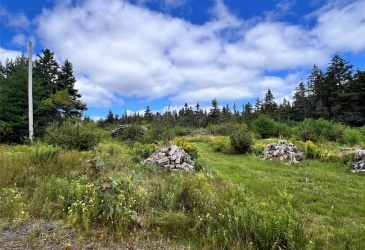 51 OTTERBURY ROAD, CLARKE'S BEACH, Newfoundland, Canada A0A 1W0, ,0,Residential,For Sale,OTTERBURY ROAD,6525