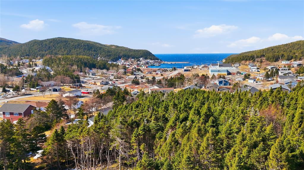73A MAIN ROAD, ST. BERNARDS-JACQUE FONTAINE, Newfoundland, Canada A0E 2T0, ,3 BathroomsBathrooms,Residential,For Sale,MAIN ROAD,6526